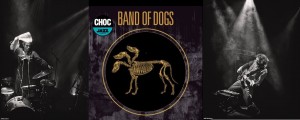 band of dog